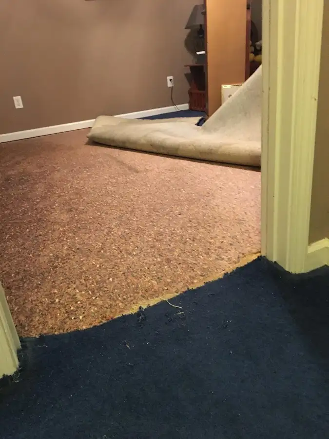 Carpet pad removal revealing water damage during Drying & Dehumidification in D'Iberville