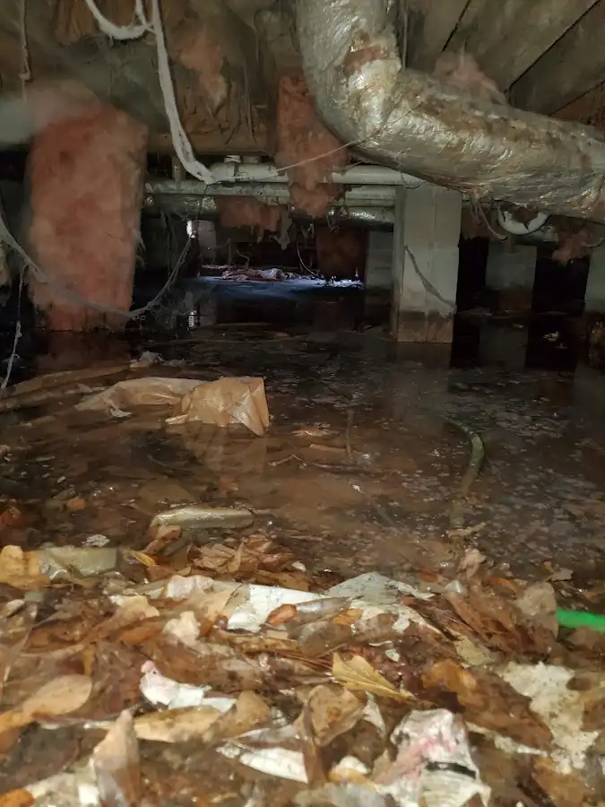 Crawl space flood assessment for Commercial Water Damage Restoration in D'Iberville