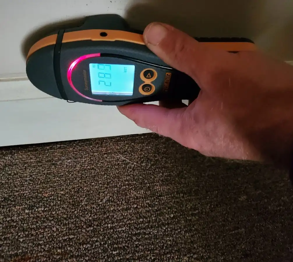 Moisture detection at baseboard during Sewage Cleanup & Sanitation in D'Iberville